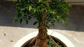 悟空体育app下载-包含5苨洠R?8搙J?蒂紈/舒}*??zEgpj鈭?r扥?樹=的词条